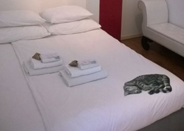 AB&B Flynt bed and breakfast amsterdam
